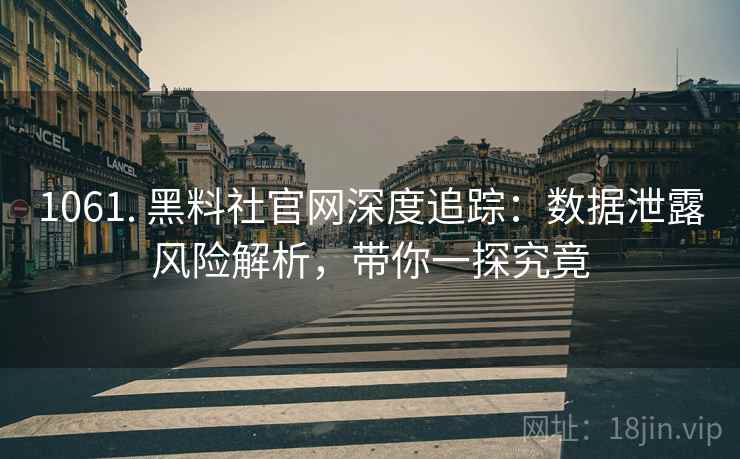 1061. 黑料社官网深度追踪：数据泄露风险解析，带你一探究竟