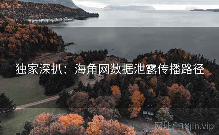 独家深扒：海角网数据泄露传播路径
