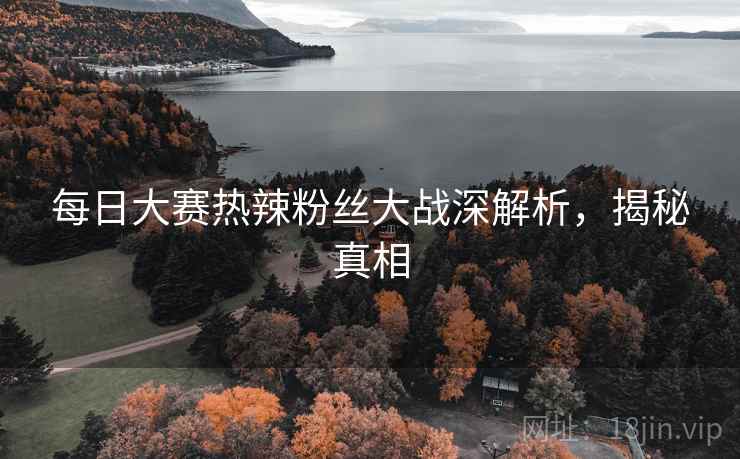 每日大赛热辣粉丝大战深解析，揭秘真相